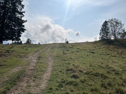 Foto von Hubert Weinberger entlang der Tour