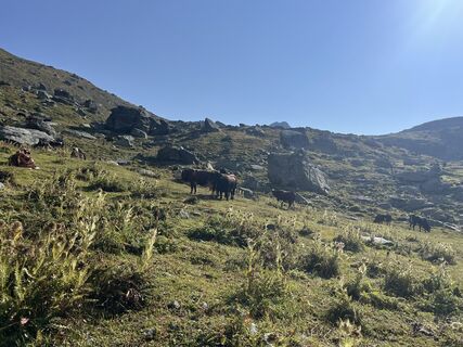 Foto von Sara Manzoni entlang der Tour