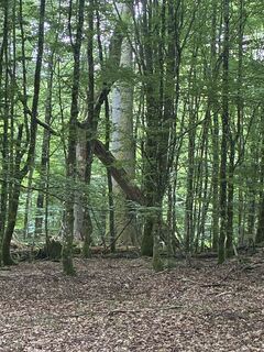 Photo de Lainie le long du parcours