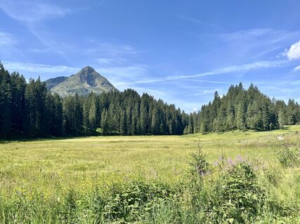 Foto von Andi72U entlang der Tour