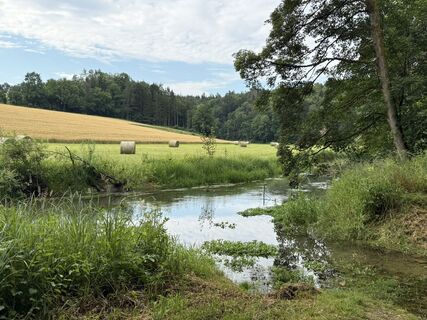 Foto von Norbert Herbig entlang der Tour