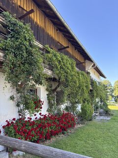 Foto von Fatma Spahic entlang der Tour