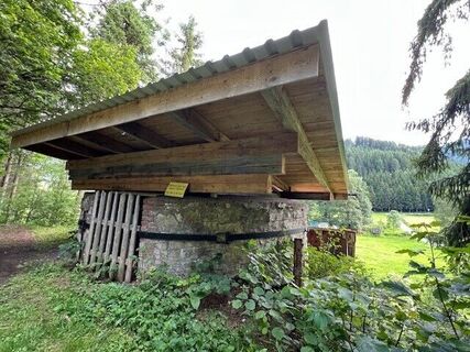 Trattenwirtwanderung_4_Heidi Kainer.jpg