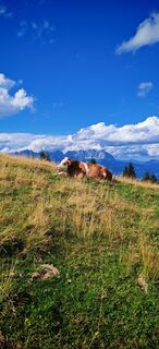 Foto von ReginaSt entlang der Tour