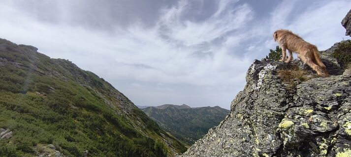 Photo de Siegfried Scholz le long du parcours