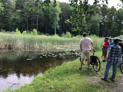 Mittlermoos-Froschkonzert