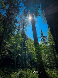 Zdjęcie z Leo Fahrngruber wzdłuż trasy