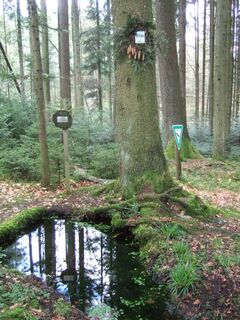 Berrothsbrunnen als Bühlerquelle bei Pommertsweiler