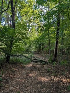 Foto de Weggefährtin a lo largo del recorrido