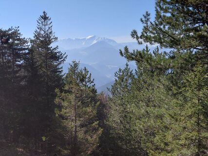 Fotografija s spletne strani Johann Neubauer na poti
