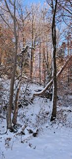 Fotografie z Buchegger Barbara na trase