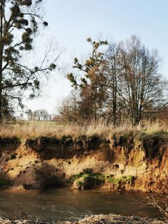 Fotografia z Chris Schöbben na trase
