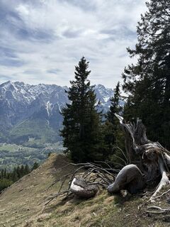 Fotografie z Dirk Brandstätter na trase