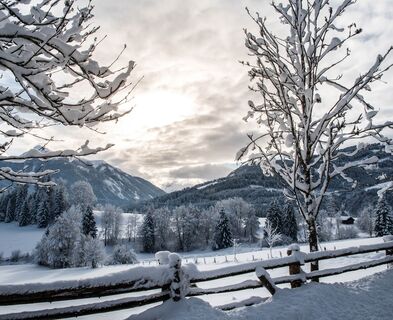Ausblick vom Schloss Höch