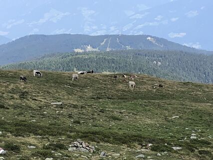 Foto von Rainer Pieper entlang der Tour