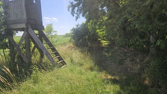 Fotografia z Sandjago na trase