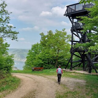 Turm am Siebenburgenblick
