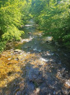 Photo de wanderelke le long du parcours