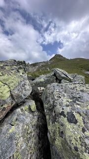 Foto von Mountain Cat ? ⛰️ entlang der Tour