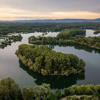 Binsfeld Speyer