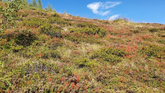 Foto von Gerrit van der Linde entlang der Tour