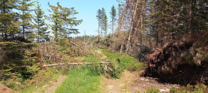 Fotografia z Erwin Rath na trase