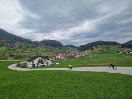 Fotografia z Grizli na trase