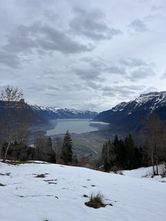 Fotografija s spletne strani Aurelian Böhler na poti