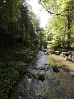 Photo de GabrielSR76 le long du parcours