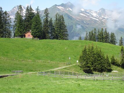 Blick von der Alp ober Precht