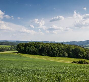 Blick über die Landschaft