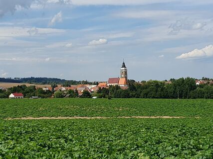 Fotografie z Jeannette Zainzinger na trase