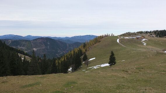 Panorama