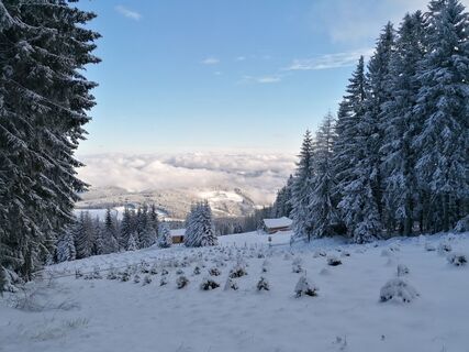 Unterwegs am Kampstein über dem Nebelmeer