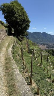 Foto von Daniel Härtel entlang der Tour