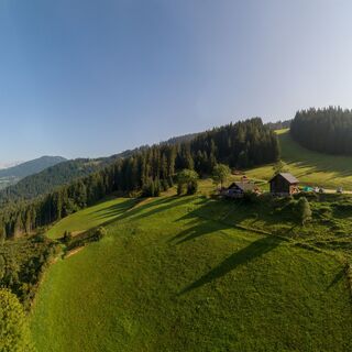 Moosalm