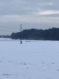 Fotografie z Daniel Vogel na trase