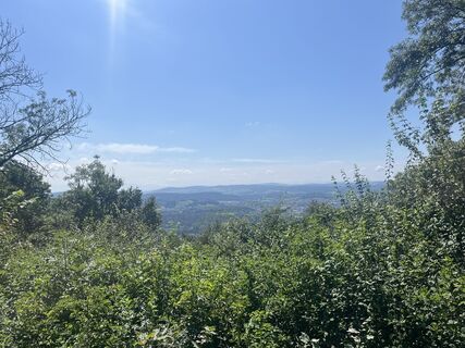 Foto da Ani lungo il tour