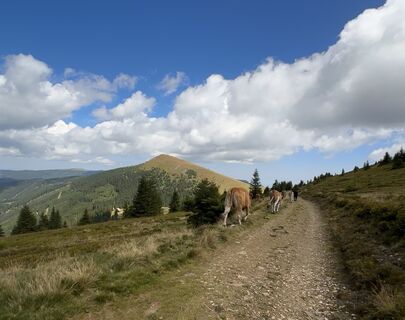 Foto von Herta Hauswirth entlang der Tour