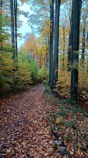 Foto von Magdolna Baróthy entlang der Tour