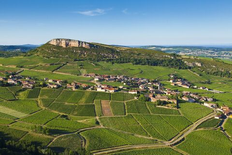 aurélien ibanez (11)