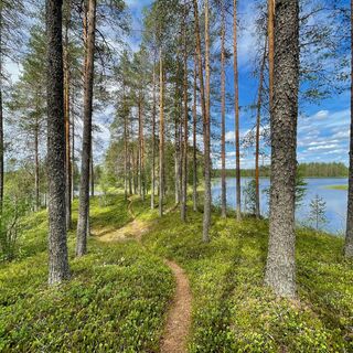 Landschaft von Susitaipale