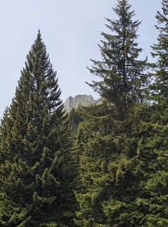 Foto von Kathi Bahlmann entlang der Tour