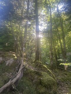 Photo de Caroline Ozog-Orzegowski le long du parcours