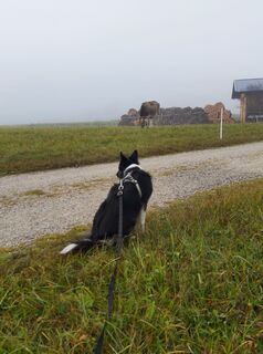 Foto von Henk de Vries entlang der Tour
