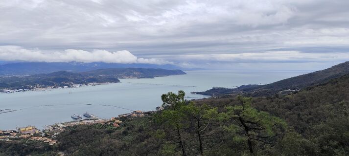 Fotografia z Joe Täschler na trase