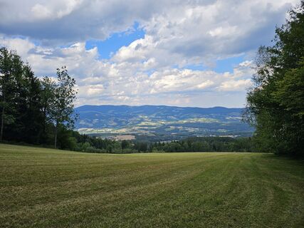 Photo de Matheo Kraule le long du parcours
