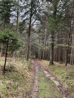 Foto von CarolineKlima entlang der Tour