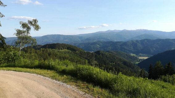 tour 13a - mtb - schlapfkogel über allerheiligen_img_51423814