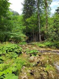 Kuva osoitteesta ReginaSt matkan varrella